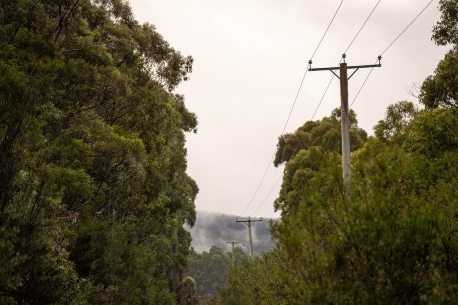 utility vegetation management